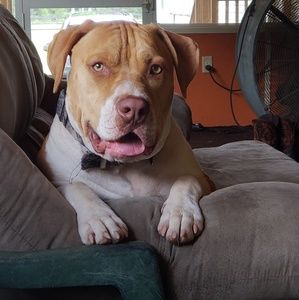 Meet your Posher, Tonya